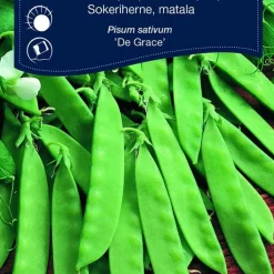Fröpåse Weibulls