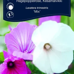 Fröpåse Weibulls