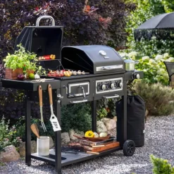 Gasol- och kolgrill Combi