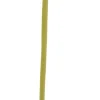 Gerbera