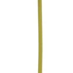 Gerbera