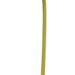 Gerbera