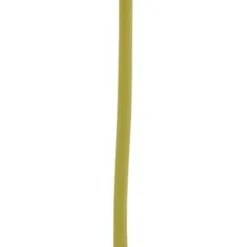 Gerbera