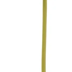Gerbera