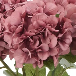 Hortensia