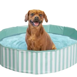 Hundpool Pet Club
