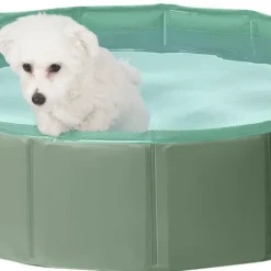 Hundpool Pet Club