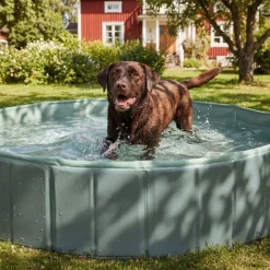 Hundpool Pet Club