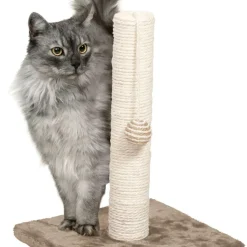 Klöspelare med boll
