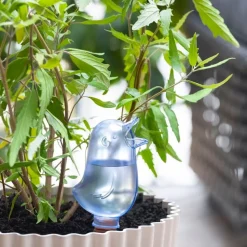 Kruka Vecka