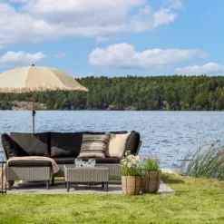 Krukväxt Gräs med Prästkrage