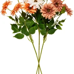 Kvist Chrysanthemum