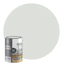 Lackfärg Professional finish