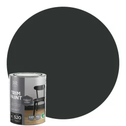 Lackfärg Professional finish