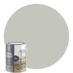 Lackfärg Professional finish