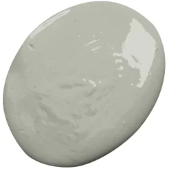 Lackfärg Professional finish