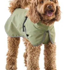 Regnjacka hund, året runt
