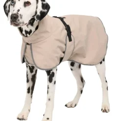 Regnjacka hund, året runt