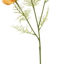 Rosenskära
