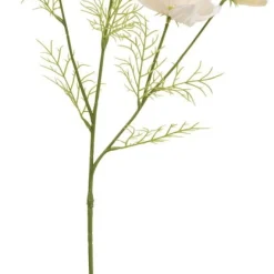 Rosenskära