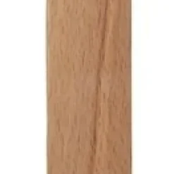 Skohorn Elsaform