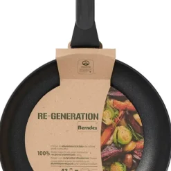 Stekpanna Re-Generation