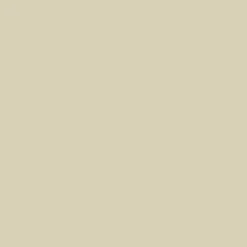 Tapet Solid Matte