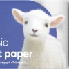 Toalettpapper Lambi