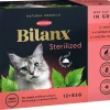 Våtfoder, katt Best Friend Bilanx